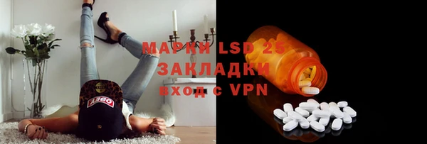 ГАЛЛЮЦИНОГЕННЫЕ ГРИБЫ Аркадак