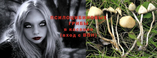 ГАЛЛЮЦИНОГЕННЫЕ ГРИБЫ Аркадак