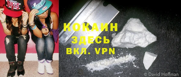 ешки Арсеньев