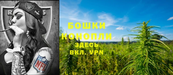 ешки Арсеньев