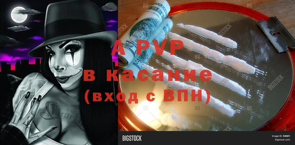 ешки Арсеньев