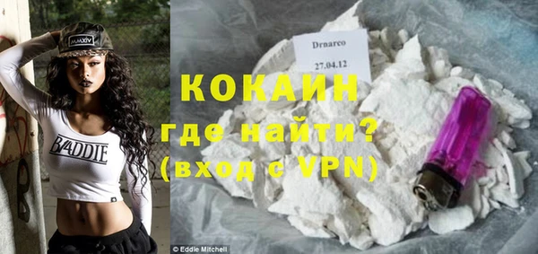 ГАЛЛЮЦИНОГЕННЫЕ ГРИБЫ Аркадак
