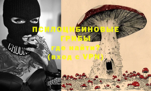 ешки Арсеньев