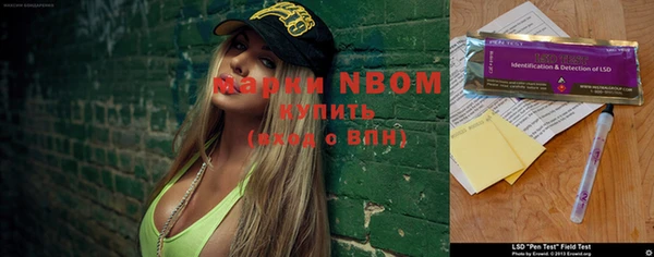 ГАЛЛЮЦИНОГЕННЫЕ ГРИБЫ Аркадак