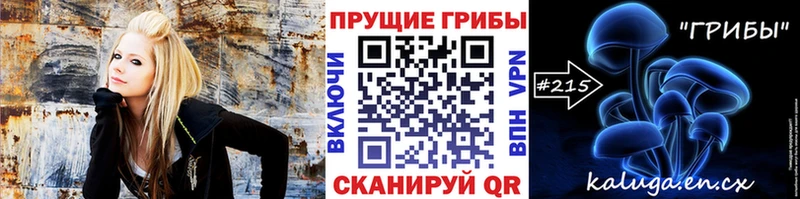 Псилоцибиновые грибы ЛСД  закладка  Порхов 